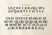 Adliene Modern Sans Serif Font, a Sans Serif Font by Graphue (Thumbnail 2 of 9)