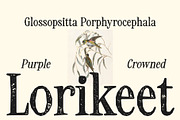 CS Alistair Stamp, a Serif Font by Craft Supply Co. (Thumbnail 2 of 8)