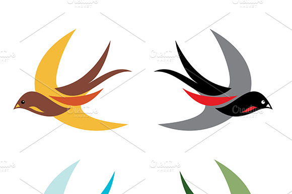 Four Colorful Birds In Flight.