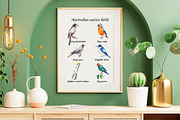 Australian native birds, an Illustration by FITALARTSNEDIGI (Thumbnail 10 of 10)