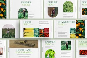 Farmer Story Presentation Template