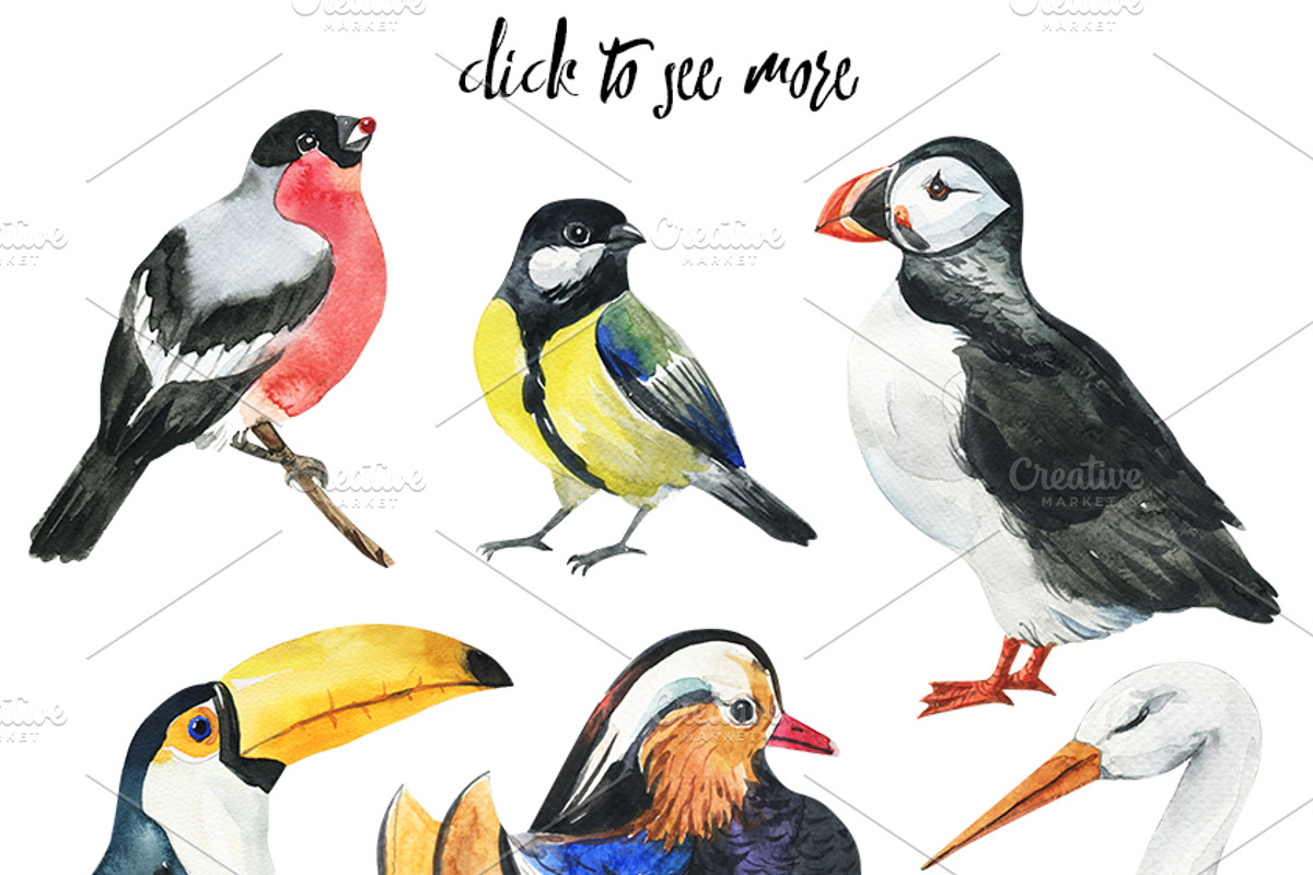 Beautifull Fly-bird set, a Texture Illustration by KatBranchArt (Photo 2 of 4)
