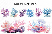 Cute Sea Life Clipart, an Illustration by PassionPNGcreation (Thumbnail 12 of 13)