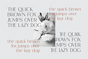 Ranse Modern Ligature Serif Font, a Serif Font by Dylla_studio (Thumbnail 4 of 12)