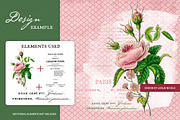 Flore des Dames Vintage French, an Illustration by French Kiss Collections (Thumbnail 14 of 16)