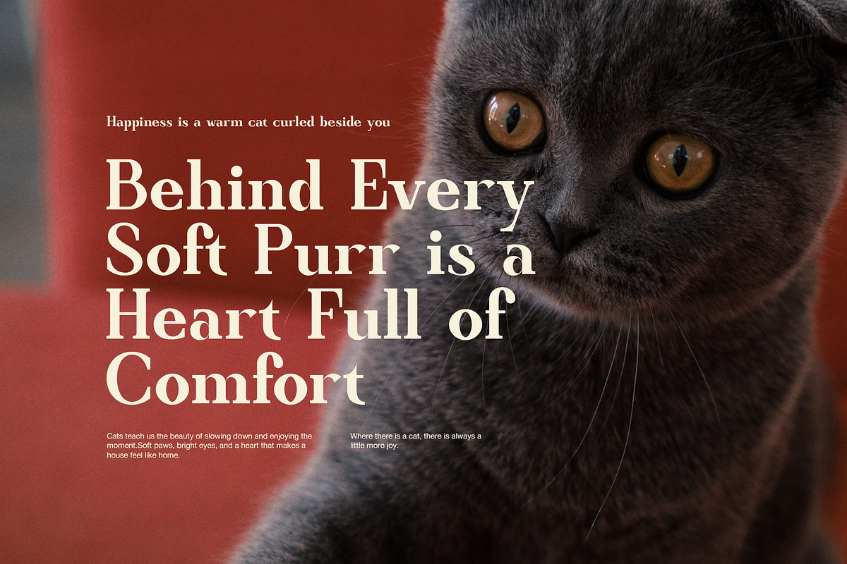 Quincho Bold Fashion Serif Font, a Serif Font by Graphicxell (Photo 5 of 8)