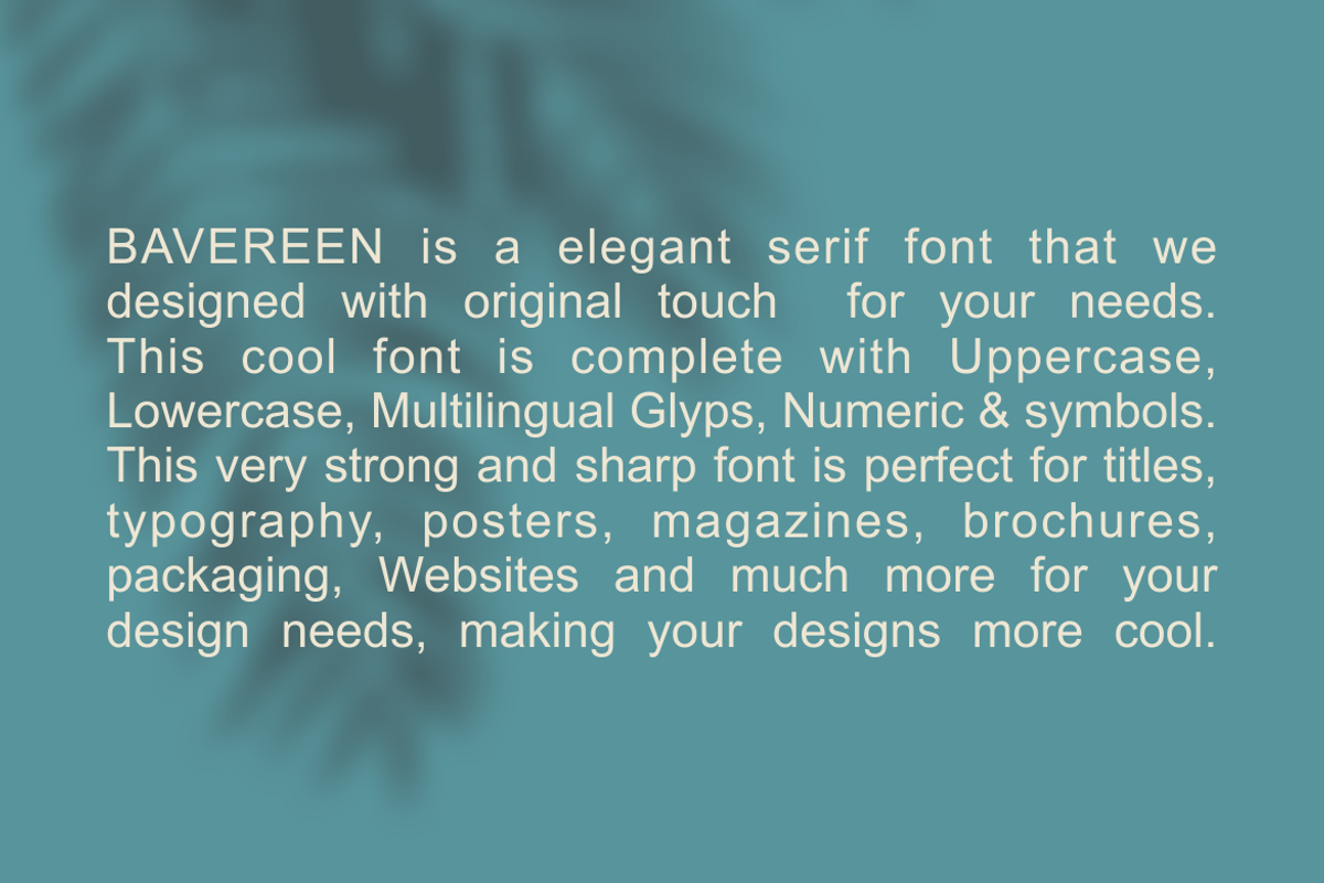 BAVEREEN SERIF, a Script Font by zerologicstudio (Photo 2 of 9)