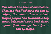 Roolie, a Script Font by Flavortype (Thumbnail 5 of 15)