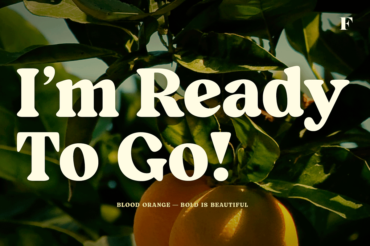Blood Orange Vintage Serif, a Serif Font by Fenotype (Photo 15 of 16)