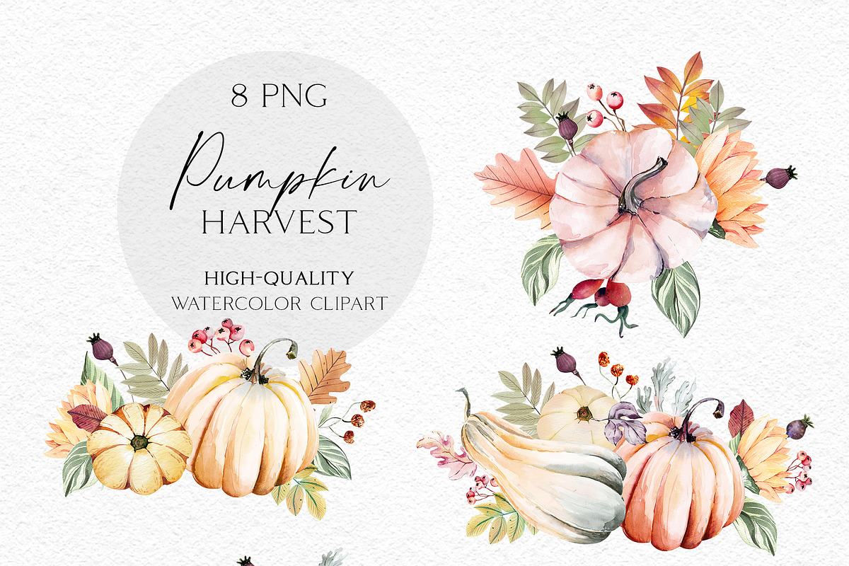 Harvest Time Watercolor Set, a Food Illustration by Olga Koelsch (Photo 7 of 14)