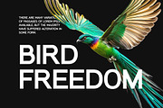 Modular Black Sans Serif Family Font, a Sans Serif Font by UICreative (Thumbnail 7 of 13)