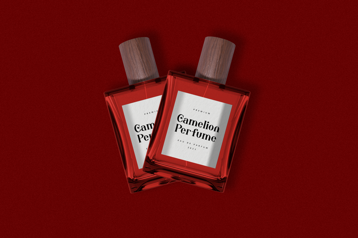 Captain Eagles - Modern Stylish, a Serif Font by RockboyStd (Photo 7 of 12)