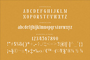 Dreavolt A Serif Display Font, a Serif Font by Storytype Studio (Thumbnail 12 of 15)