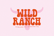 Howdy Honey | Retro Western Font, a Font by KA Designs (Thumbnail 4 of 11)