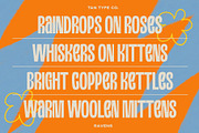 TAN - RAVENS, a Serif Font by TanType (Thumbnail 3 of 11)