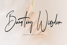 Bansteny Wissdom