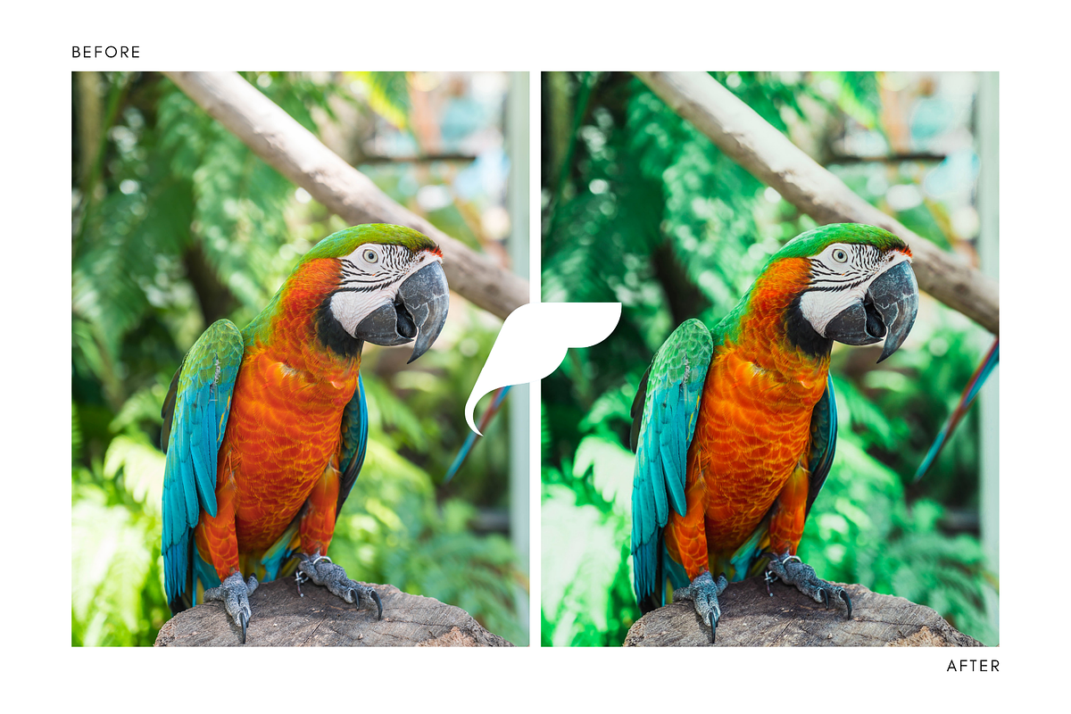 Tropical Lightroom Presets Instagram, an Action Add-On by Filtercrave (Photo 4 of 9)
