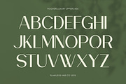 Rooven - Elegant Serif Font, a Serif Font by Flawless And Co (Thumbnail 6 of 10)