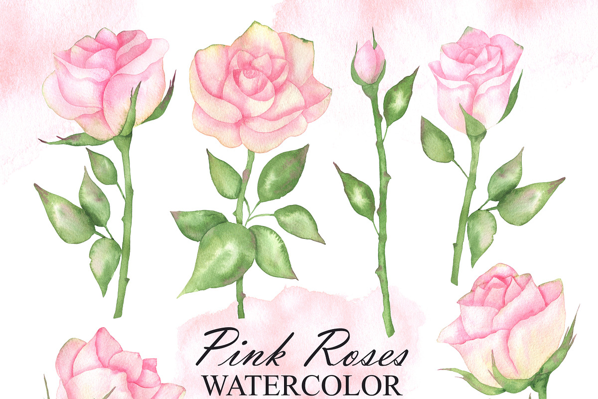 Watercolor pink roses and leaves, an Illustration by OlDm_Shop (Photo 2 of 10)