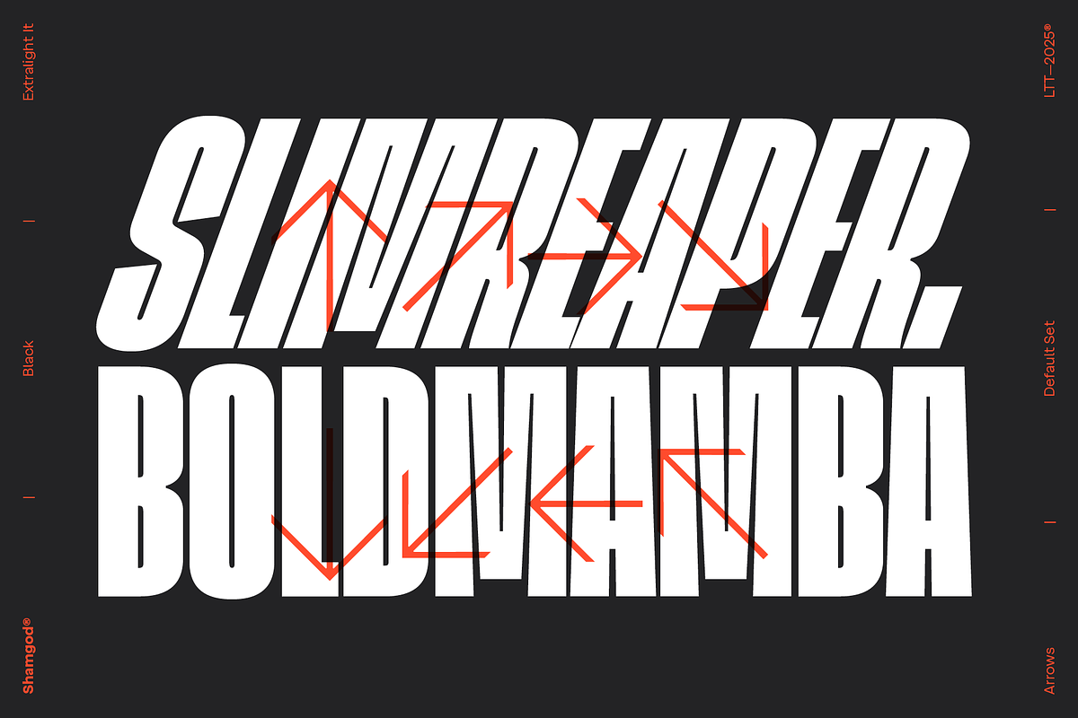 Shamgod, a Sans Serif Font by Latinotype (Photo 13 of 14)