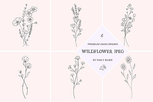 PNG + JPEG 6 Hand Drawn Wildflowers