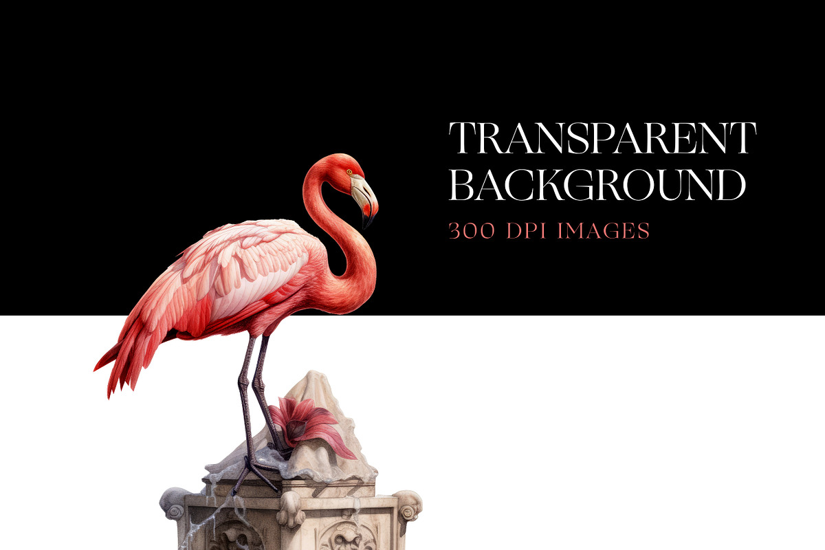 Flamingo Watercolour Clipart, an Animal Illustration by BrushstrokeArtGB (Photo 7 of 9)