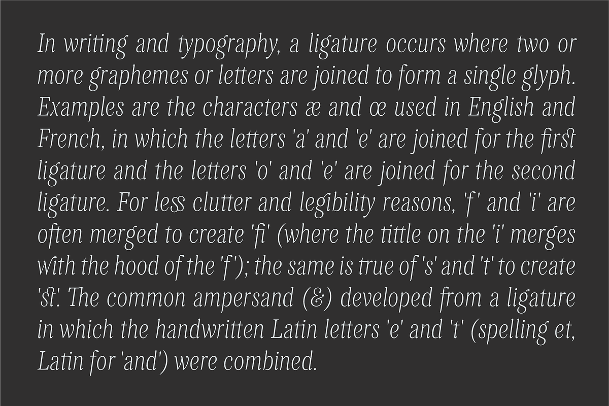 Levino Font Family, a Font by Punch (Photo 8 of 10)
