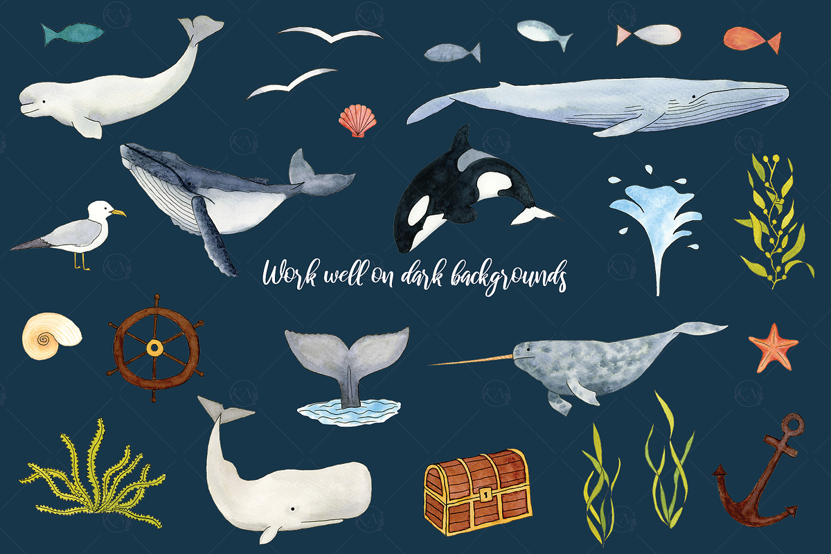 Watercolor Whales Graphics, an Illustration by Kileen Nicole Art (Photo 4 of 5)