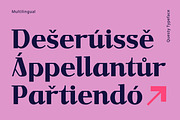 Questy Elegant Decorative Serif, a Serif Font by Patria Ari (P4tcreativa) (Thumbnail 6 of 9)