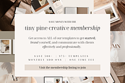 Client Welcome Packet | Onboarding, a Templates & Theme by Tiny Pine Creative (Thumbnail 13 of 13)