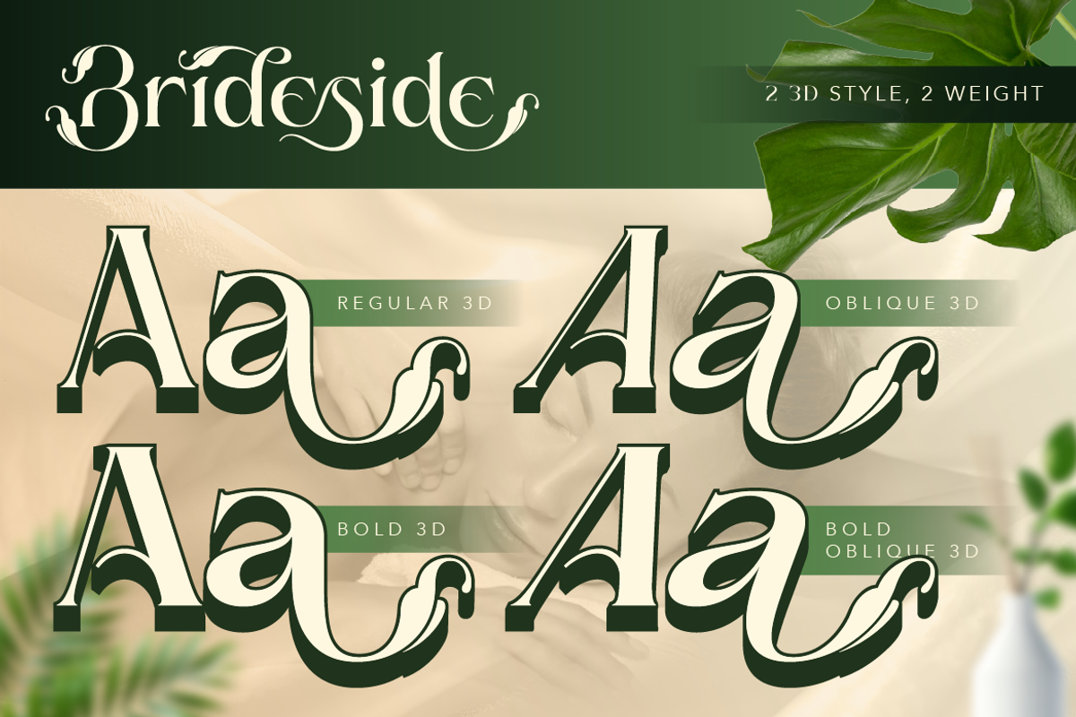 Brideside, a Serif Font by Burntilldead (Photo 6 of 12)