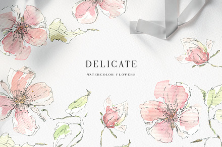Watercolor delicate flowers, a Decorative Illustration by Summer Nightingale Art