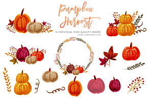 Pumpkin Harvest Clipart