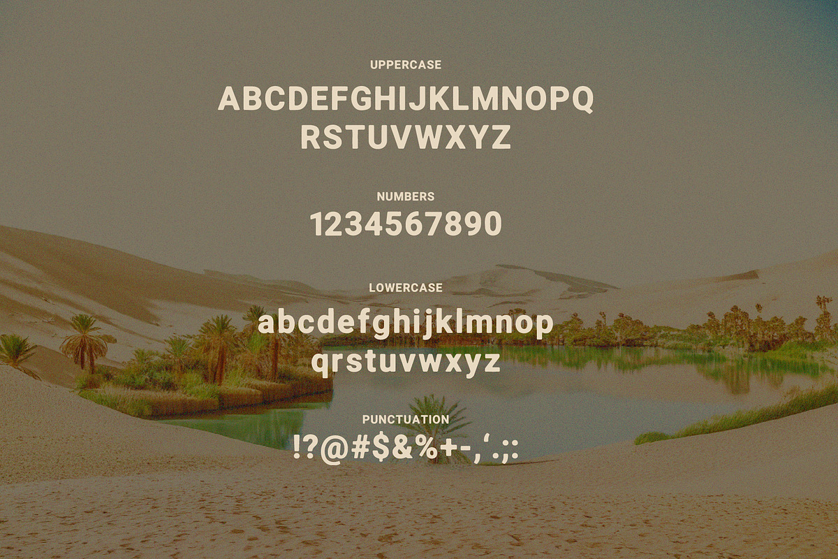 Oasis Font + Illustrations, a Sans Serif Font by CactusGroveBranding (Photo 2 of 4)