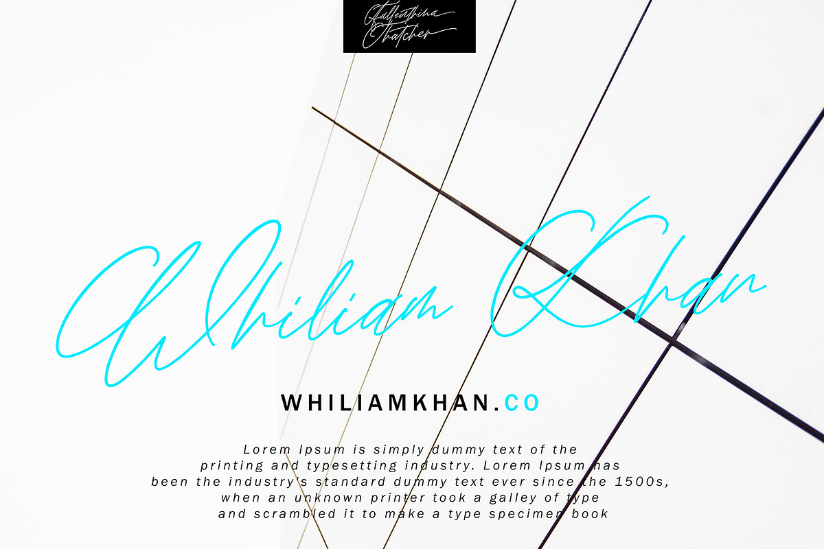 Fallenthina Thatcher, a Script Font by pineungtype (Photo 10 of 11)