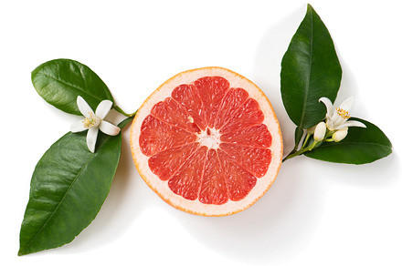 Grapefruit and flower.