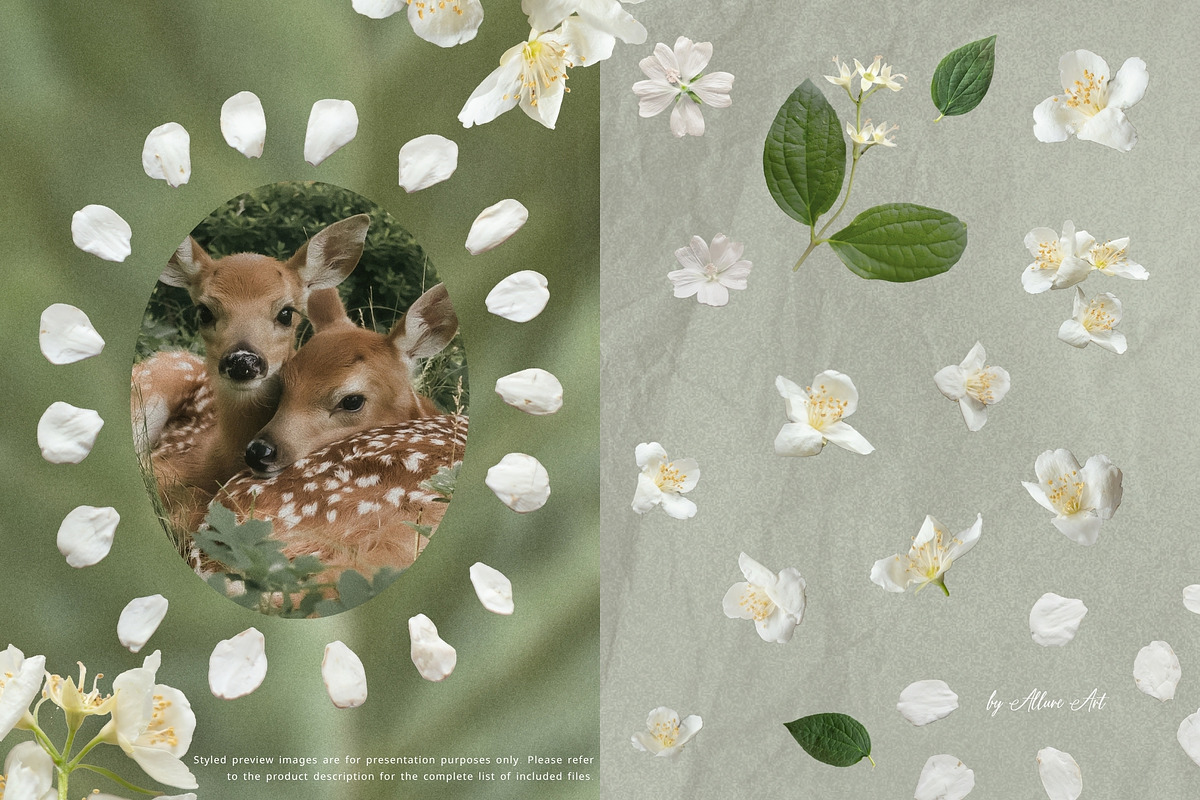 Petals Botanical Overlay Kit & Paper, an Object Graphic by Allure Art (Photo 10 of 22)