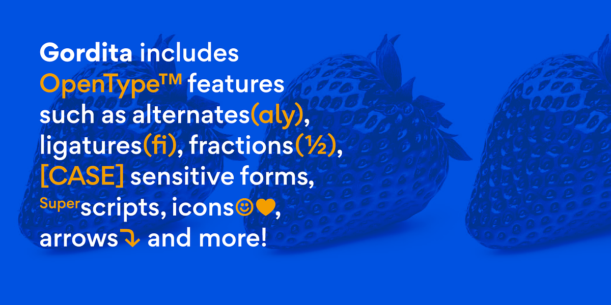 Gordita, a Sans Serif Font by Type Atelier (Photo 2 of 11)