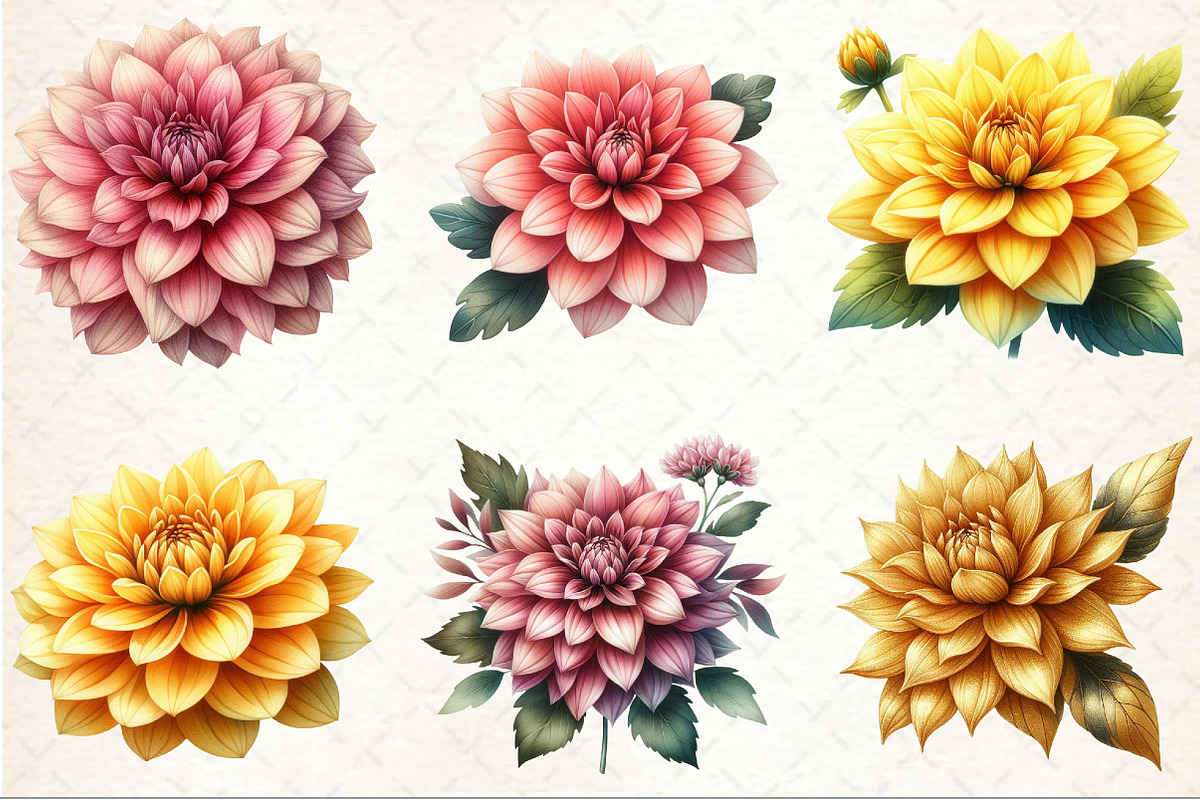 Dahlia Flower Watercolor Cliparts, an Illustration by Rose Art (Photo 3 of 7)