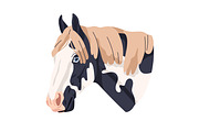 Horse heads set. Stallions breeds, an Animal Illustration by Good Studio (Thumbnail 6 of 12)