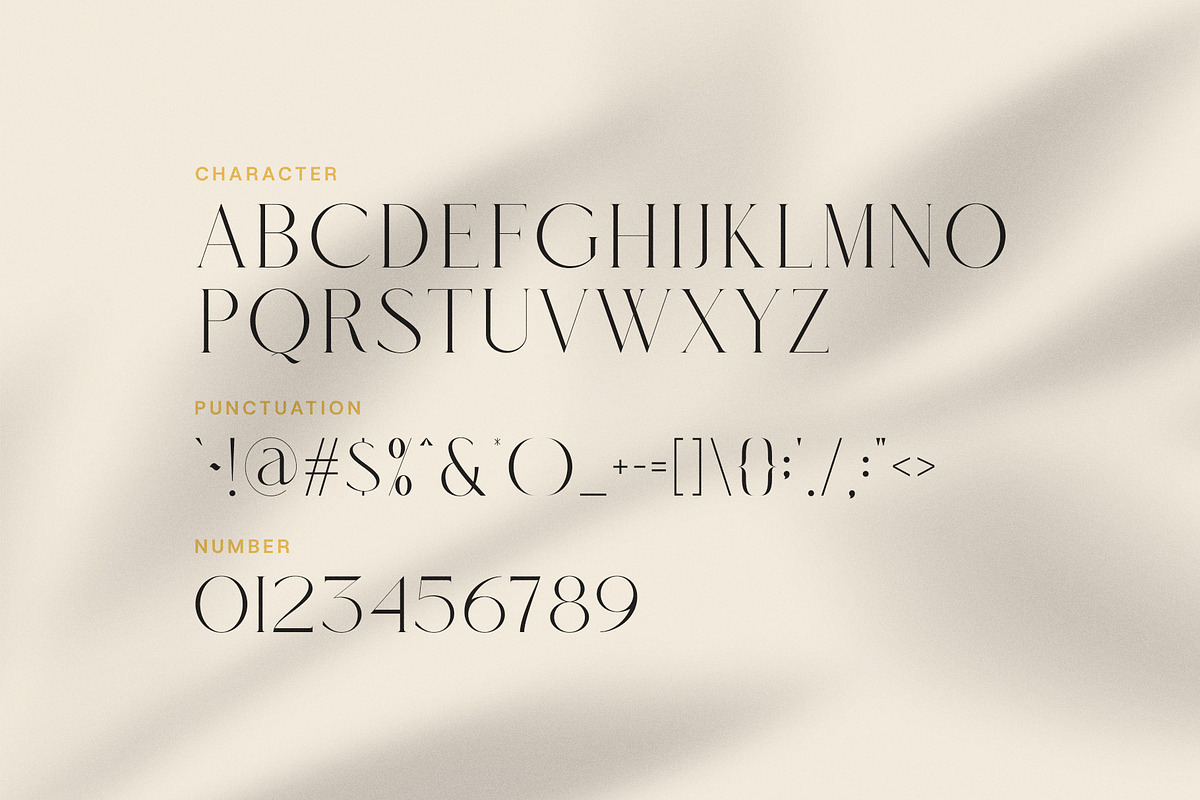 Cadline Serif font, a Serif Font by Graphicxell (Photo 8 of 8)