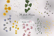 The Garden Treasures Floral Overlays, an Object Graphic by Muse Artist (Thumbnail 12 of 14)