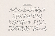 Aesallyn | Classic Signature Font, a Script Font by Denustudios (Thumbnail 11 of 13)