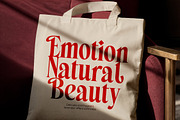 Belagu Modern Display Serif Font, a Serif Font by timelesstype.co (Thumbnail 14 of 20)