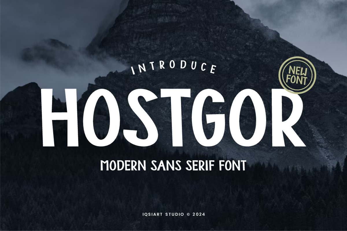 Hostgor - Modern Sans Font, a Sans Serif Font by Iqsiart Studio (Photo 1 of 7)