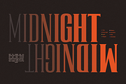 TRT Regard Condensed Display Font, a Serif Font by truetype (Thumbnail 6 of 15)