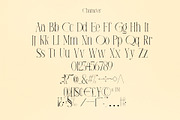 Royal Moorbe - Beautiful Font Duo, a Serif Font by PuriCreative (Thumbnail 7 of 9)