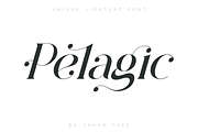 Pelagic Bird - Unique Ligature Font, a Serif Font by Yahya Type (Thumbnail 1 of 22)