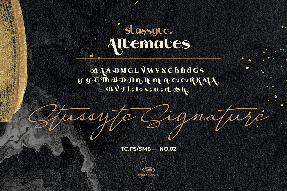 Stussyte Font Duo, a Serif Font by Tegh co. (Photo 9 of 15)