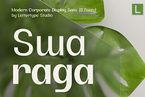 Swaraga - Modern Corporate Display